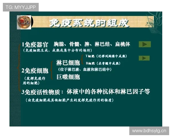 居莱尔身体对抗能力与战术适配分析