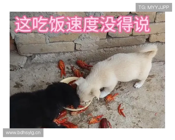 颜骏凌家的狗吃的都比我一个月伙食费贵 颜骏凌家的狗吃的都比我一个月伙食费贵